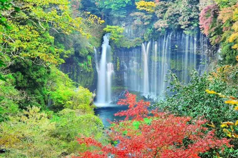 東京近郊景點 — 白絲瀑布