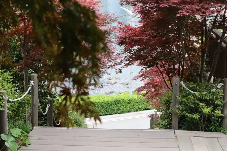 這裡有紅色冬柏花王國之稱