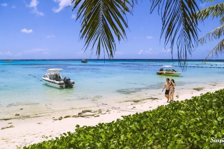 マウントタピオビューポイント