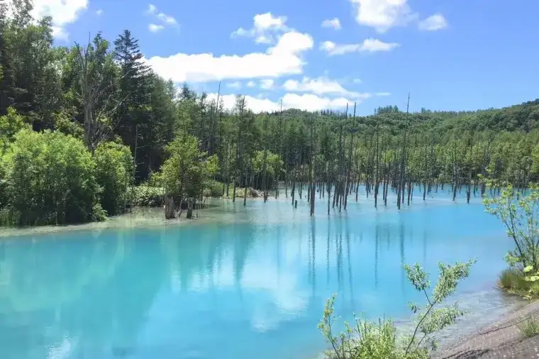 北海道景點推介 - 美瑛白金青池