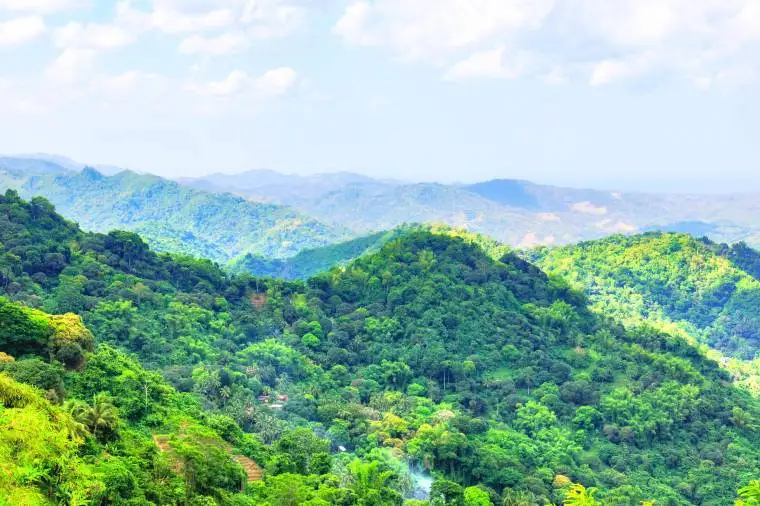 展望台トップス