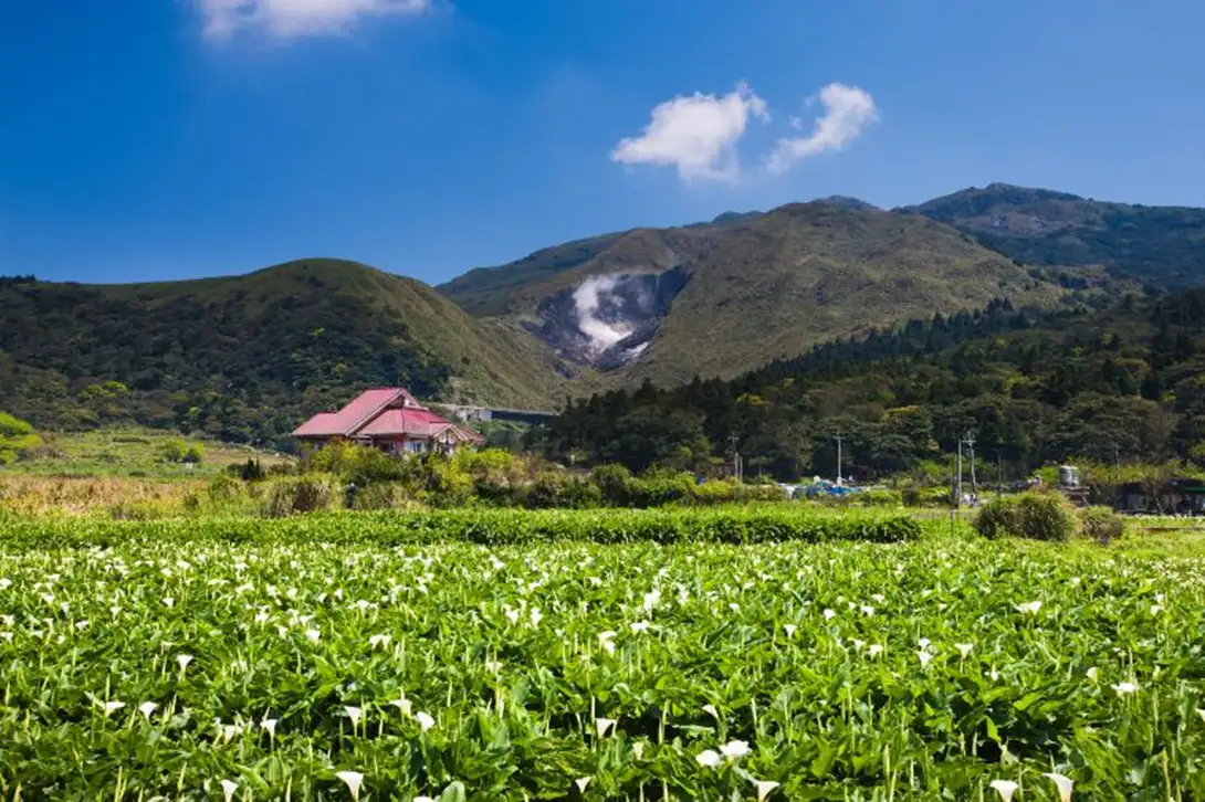 竹子湖