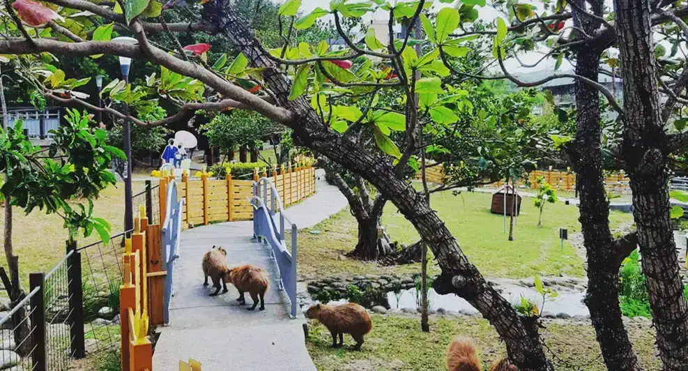 卡比園區