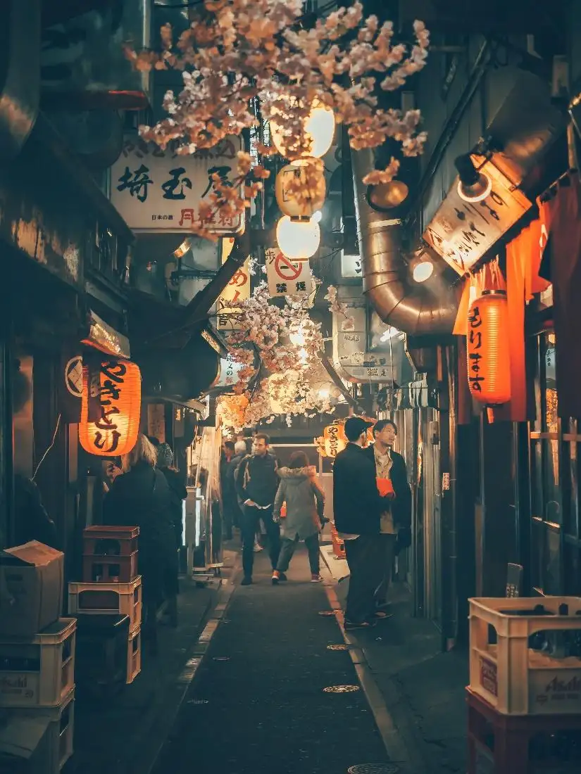 Shinjuku Yakitori Alley (Memory Lane / Piss Alley), Tokyo, Japan