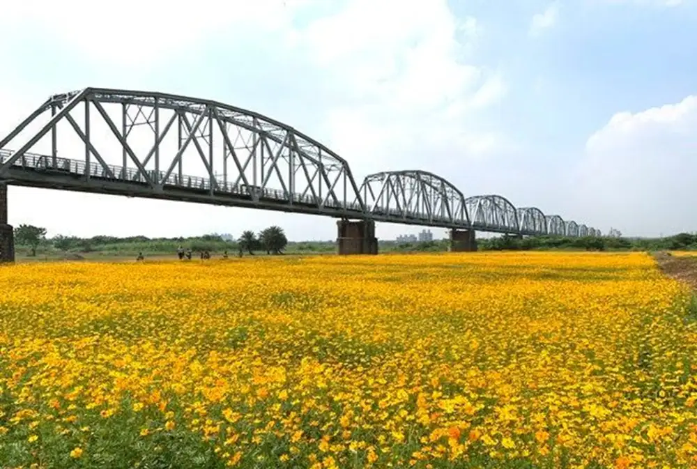 舊鐵橋濕地生態公園