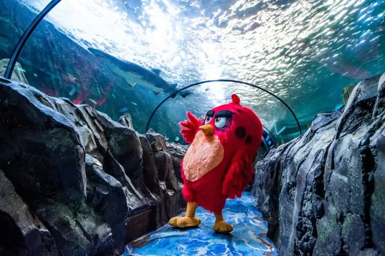 シーライフシドニー水族館