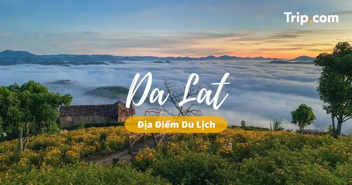 lịch nghỉ tết 2023 du lịch đà lạt