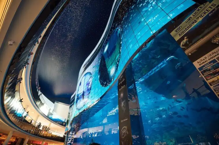 ドバイ水族館