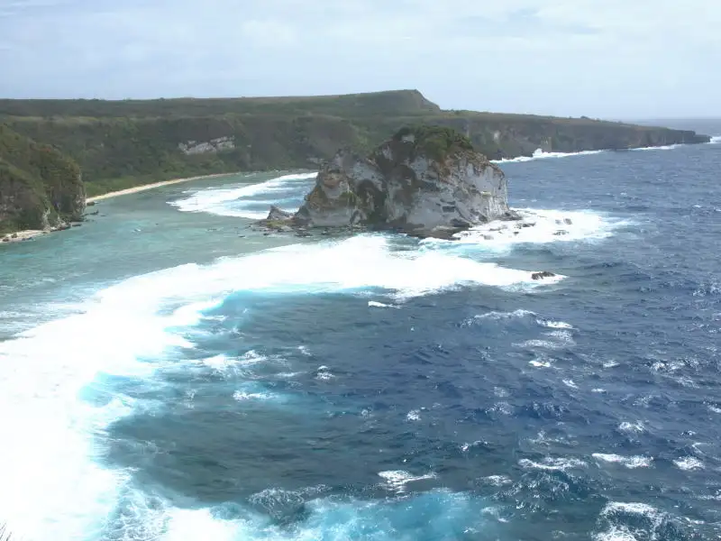 ザ・バードアイランド