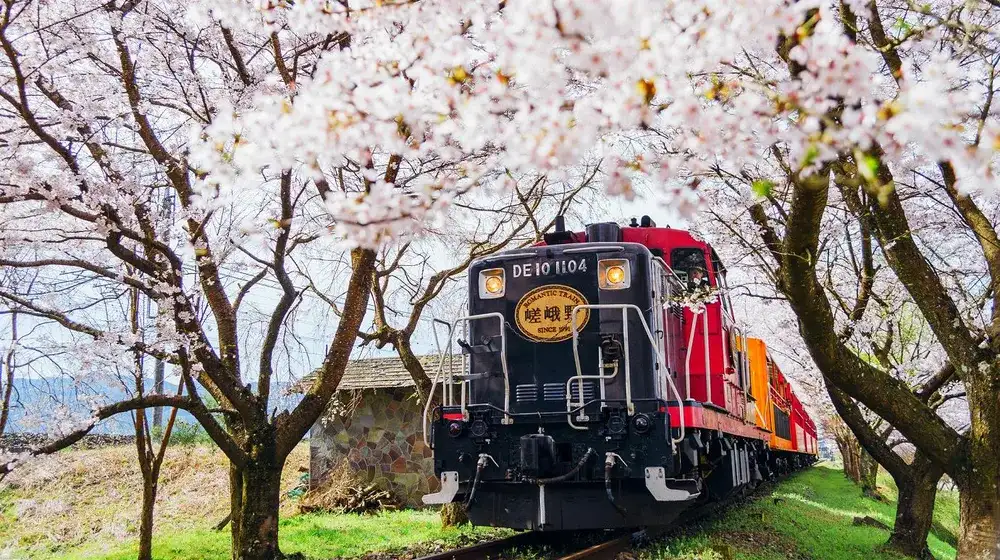 京都嵐山嵯峨野小火車
