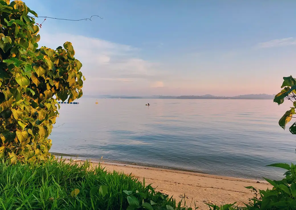Pasir Ris beach – you can explore after Tayo! Source: Joylynn Gohh / unsplash