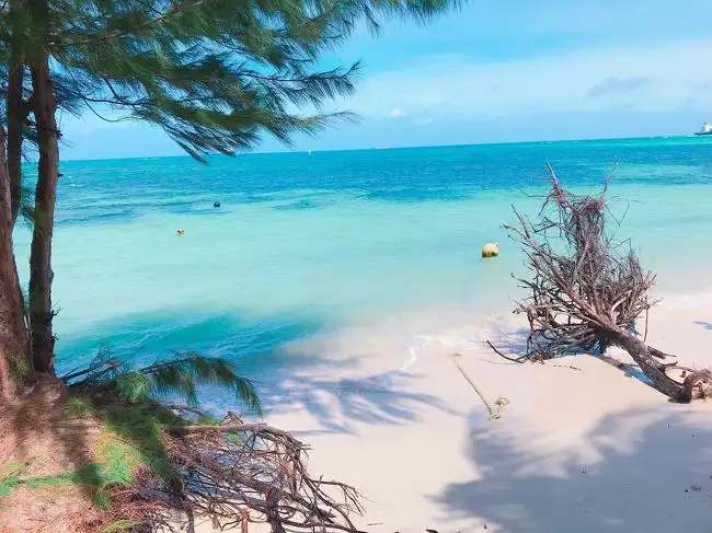 スーサンビーチ