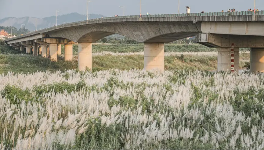 台南大內橋