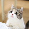 https://ak-d.tripcdn.com/images/0Z801120008aaxdjt6886.jpg