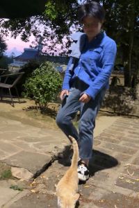 Lisitedejiangbtiao 澳門羅斯福酒店優惠