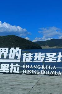 Tianchengzuodehualei20