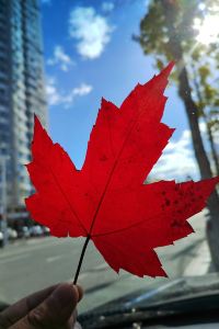 Shishi@ruyi 廈門慢生活·雅厝別院（環島路音樂廣場店）優惠