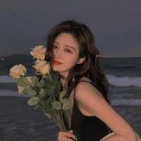 清梦旅行者