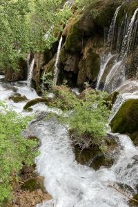 Erniuma2 台北馥華商旅優惠