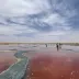 岱山香橙