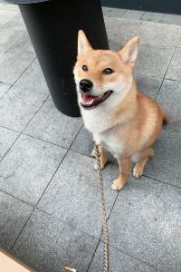 E-W13 約那商務飯店優惠