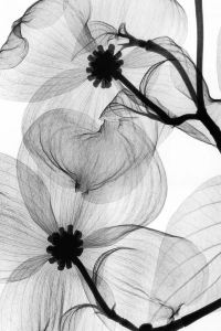 Joshuapurity 全季飯店（上海北外灘外白渡橋店）優惠