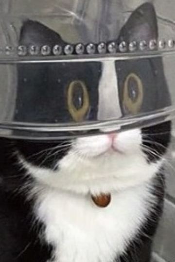 Niuchaersi JR東日本鎌倉大船METS飯店優惠