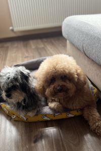 🌸🍭junyayaᰔᩚ 🌈🍀V 博多エクセルホテル東急 クーポン