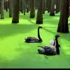 Avatar 3