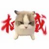 Avatar 1