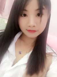 羊羊在路上
