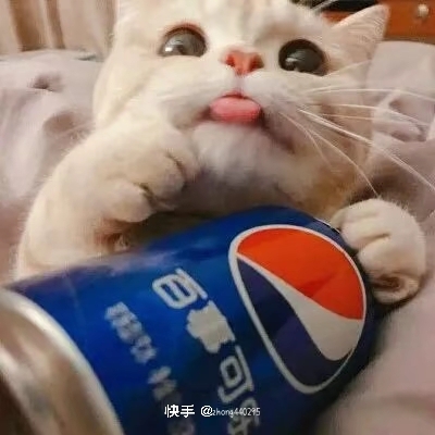 head-img