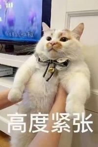 Jasonzhou2017