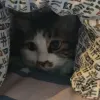 Avatar 1