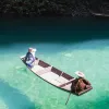 Avatar 3