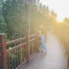Avatar 3