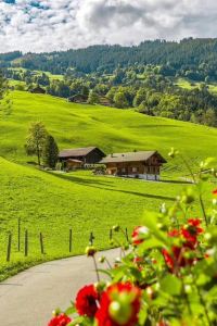 Junjun625 서울 동대문2 토요코인호텔 쿠폰