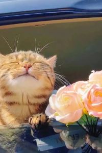 Woshilaizhegeshijiexiangfuda！