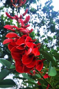 Lanxue6248 廈門萬佳東方飯店（中山路植物園店）優惠