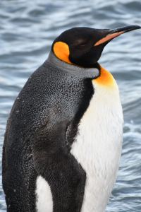 Xingzhewuyuanfujie 阿蓋爾汽車旅館優惠