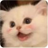 user-icon