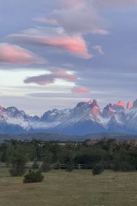 Allen gentle 天津香格里拉大飯店優惠