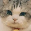Avatar 2