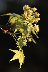 M21602**** 塞貝維譚雅酒店公寓優惠