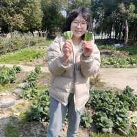 super奶糖