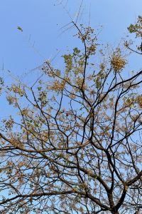 Tiantianyunyou 鄰家哥本哈根 - 旅舍優惠