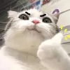 Avatar 1