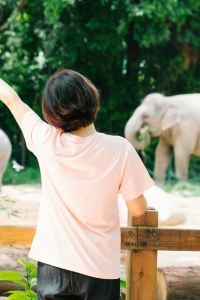 M43430**** 吉隆坡市中心喜來登福朋飯店優惠