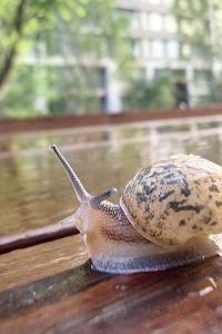 YanfareniRRTY 山西晉祠國賓館（太原晉祠景區店）優惠