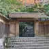 河蟹的夏天